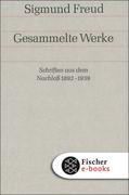 eBook:  Werke 17: Schriften aus dem Nachlaß 1892-1938