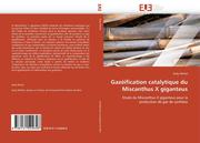 Michel, Rudy: Gaz&eacute;ification catalytique du Miscanthus X giganteus