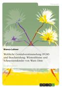 Bianca Lehner: Zu: Waris Dirie - Wüstenblume