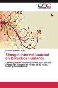 Ballestero Araya, Elizabeth: Sinergia interinstitucional en Derechos Humanos
