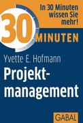 Hofmann, Yvette E.: 30 Minuten Projektmanagement
