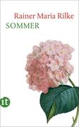 eBook: Sommer
