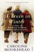 eBook: A Train in Winter