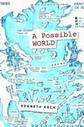 eBook: A Possible World